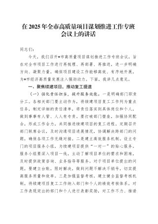 在2025年全市高质量项目谋划推进工作专班会议上的讲话