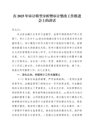 在2025年审计模型分析暨审计整改工作推进会上的讲话