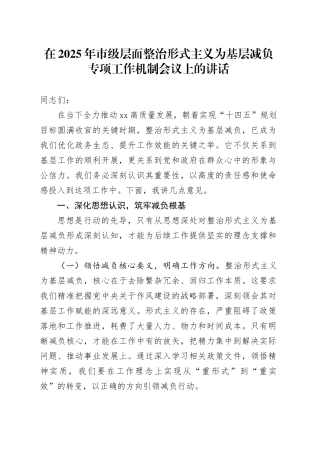 在2025年市级层面整治形式主义为基层减负专项工作机制会议上的讲话