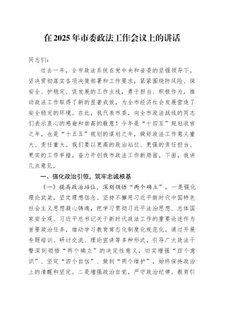 在2025年市委政法工作会议上的讲话