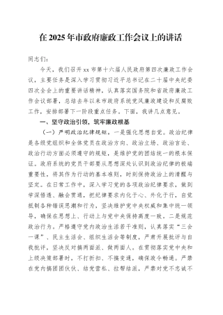 在2025年市政府廉政工作会议上的讲话