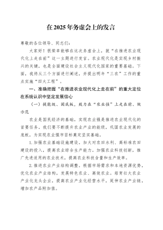 在2025年务虚会上的发言