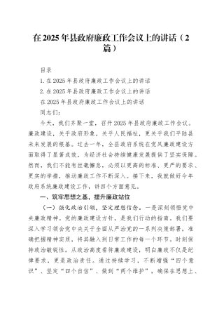 在2025年县政府廉政工作会议上的讲话（2篇）
