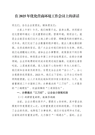 在2025年优化营商环境工作会议上的讲话