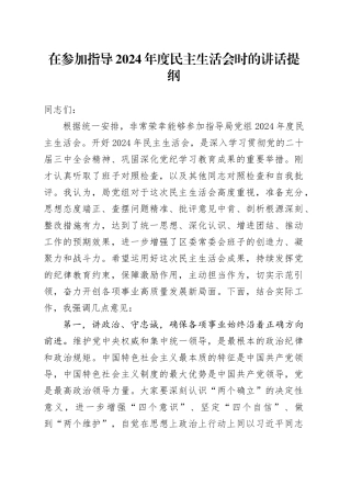 在参加指导2024年度民主生活会时的讲话提纲