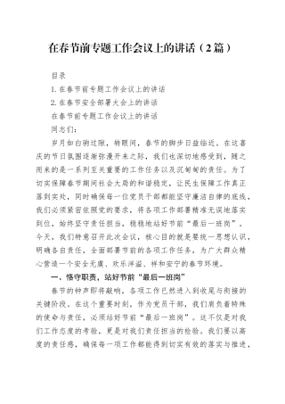 在春节前专题工作会议上的讲话（2篇）