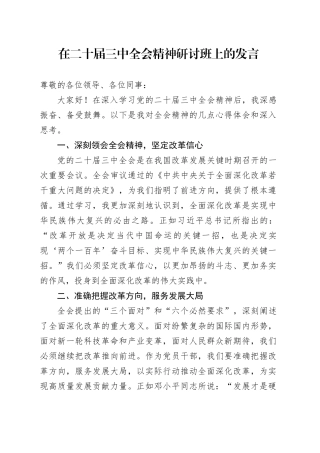 在二十届三中全会精神研讨班上的发言