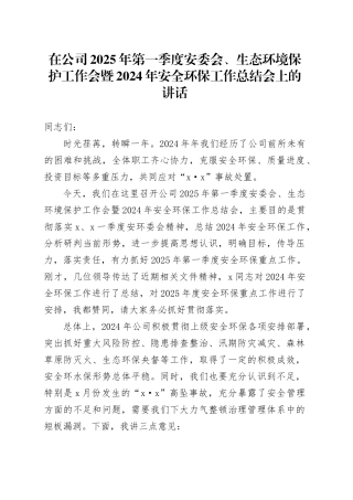 在公司2025年第一季度安委会、生态环境保护工作会暨2024年安全环保工作总结会上的讲话