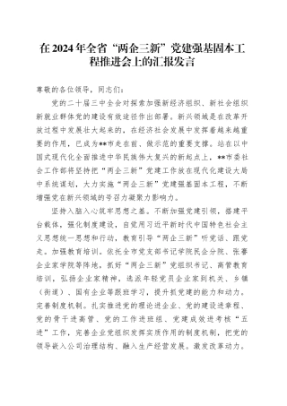 在全省“两企三新”党建强基固本工程推进会上的汇报发言