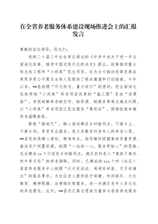 在全省养老服务体系建设现场推进会上的汇报发言