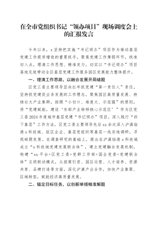 在全市党组织书记“领办项目”现场调度会上的汇报发言