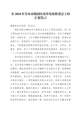 在全市市级园区改革发展推进会上的汇报发言