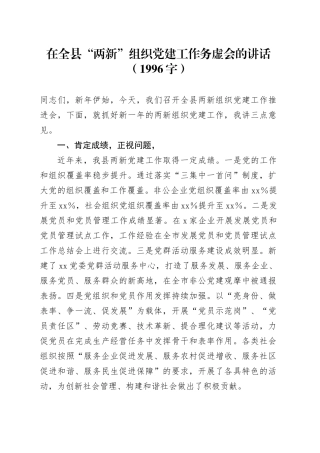 在全县“两新”组织党建工作务虚会的讲话（1996字）