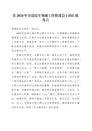 在全县民生领域工作推进会上的汇报发言