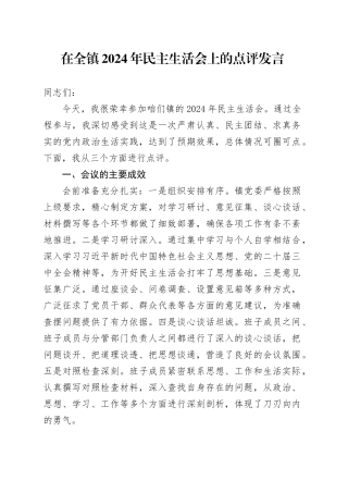 在全镇2024年民主生活会上的点评发言