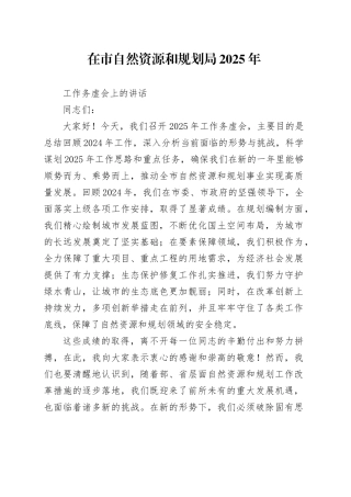 在市自然资源和规划局2025年工作务虚会上的讲话