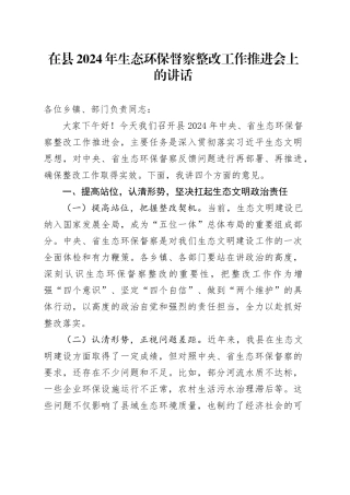 在县2024年生态环保督察整改工作推进会上的讲话