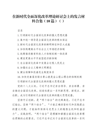 在新时代全面深化改革理论研讨会上的发言材料合集（10篇）（范文）