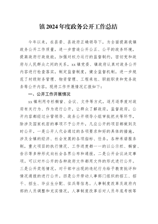 镇2024年度政务公开工作总结(1)