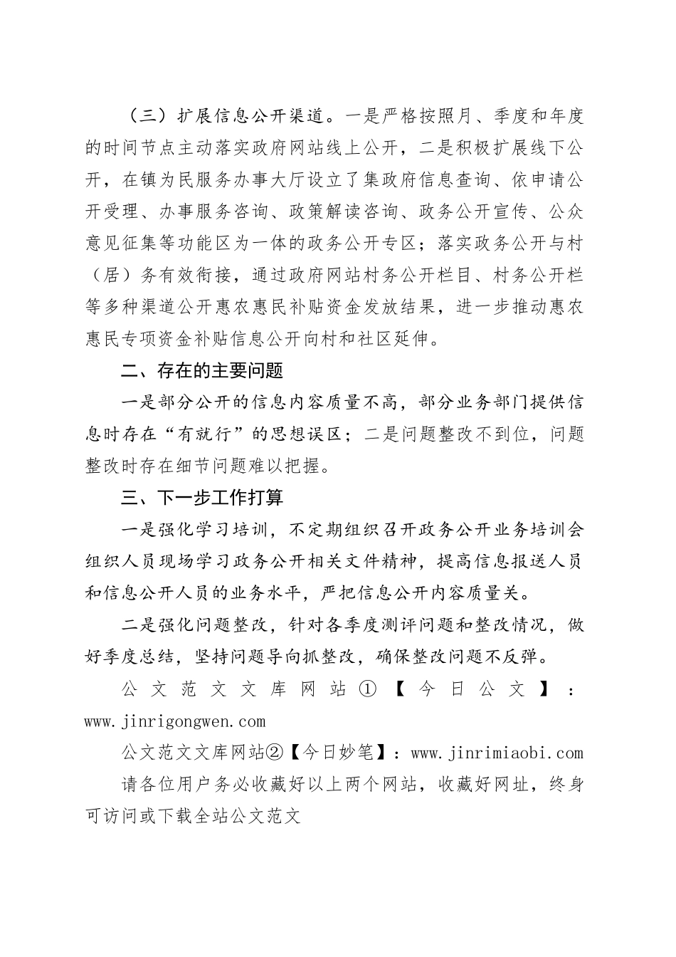 镇2024年度政务公开工作总结_第2页