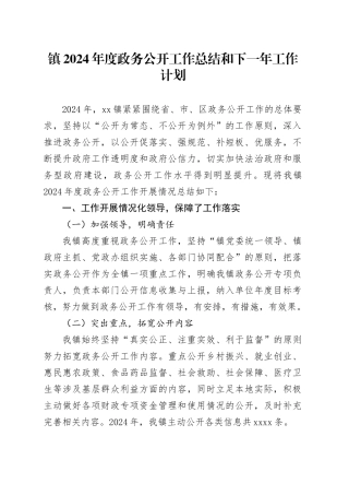 镇2024年度政务公开工作总结和下一年工作计划