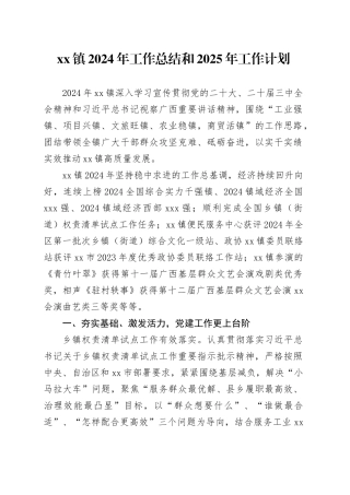 镇2024年工作总结和2025年工作计划（20241118）
