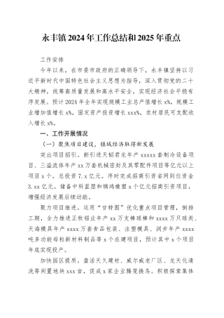 镇2024年工作总结和2025年重点工作安排