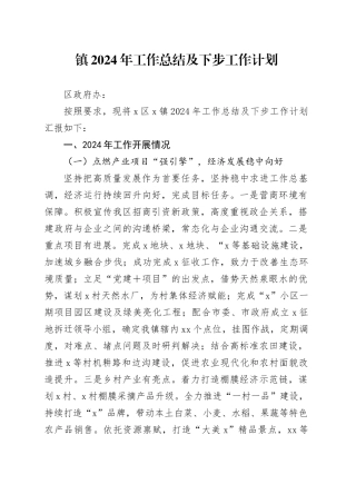 镇2024年工作总结及下步工作计划