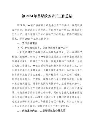 镇2024年基层政务公开工作总结