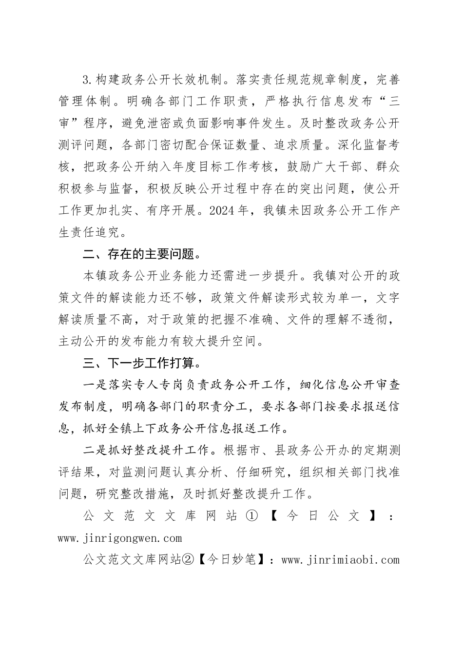 镇2024年政务公开工作总结(1)_第2页