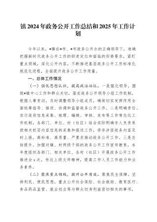 镇2024年政务公开工作总结和2025年工作计划(1)