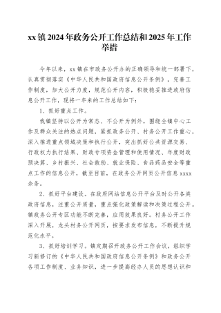 镇2024年政务公开工作总结和2025年工作举措