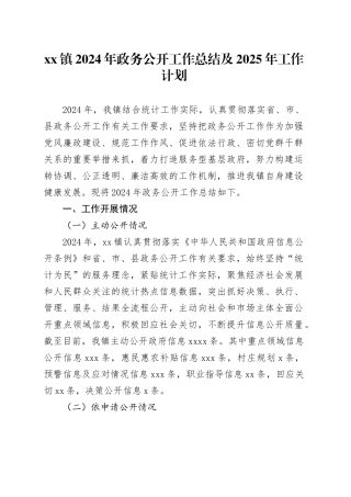 镇2024年政务公开工作总结及2025年工作计划