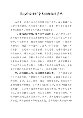 镇办公室主任个人年度考核总结