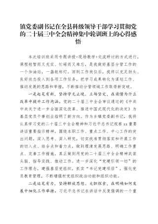 镇党委副书记在全县科级领导干部学习贯彻党的二十届三中全会精神集中轮训班上的心得感悟