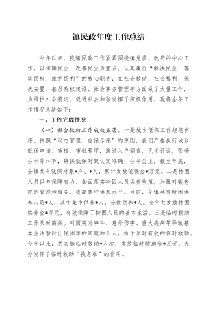 镇民政年度工作总结