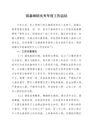 镇森林防灭火年度工作总结