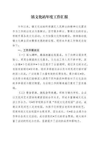 镇文化站年度工作汇报
