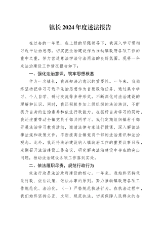 镇长2024年度述法报告