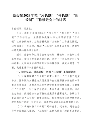 镇长在2024年乡镇街道“河长制”“林长制”“田长制”工作推进会上的讲话