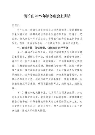镇长在2025年镇务虚会上讲话