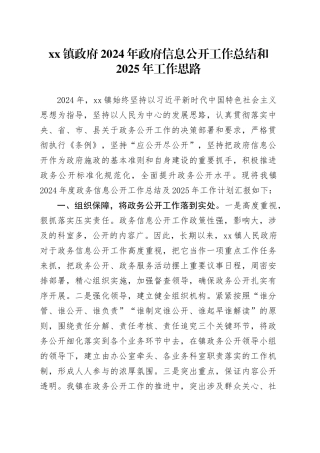 镇政府2024年政府信息公开工作总结和2025年工作思路