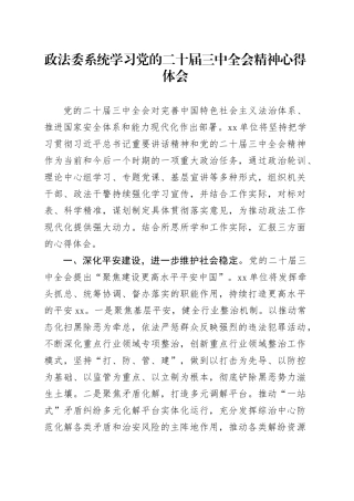 政法委系统学习党的二十届三中全会精神心得体会研讨发言材料20241113