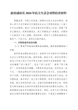 政府副市长2024年民主生活会对照检查材料