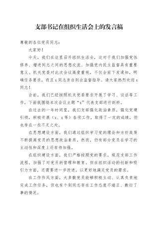 支部书记在组织生活会上的发言稿