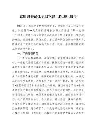 支部书记抓党建工作述职报告（结合政工）