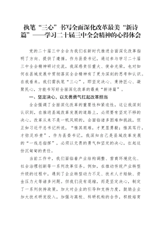 执笔“三心”书写全面深化改革最美“新诗篇”——学习二十届三中全会精神的心得体会