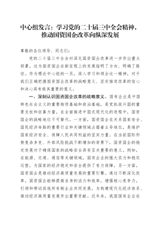 中心组发言：学习党的二十届三中全会精神，推动国资国企改革向纵深发展
