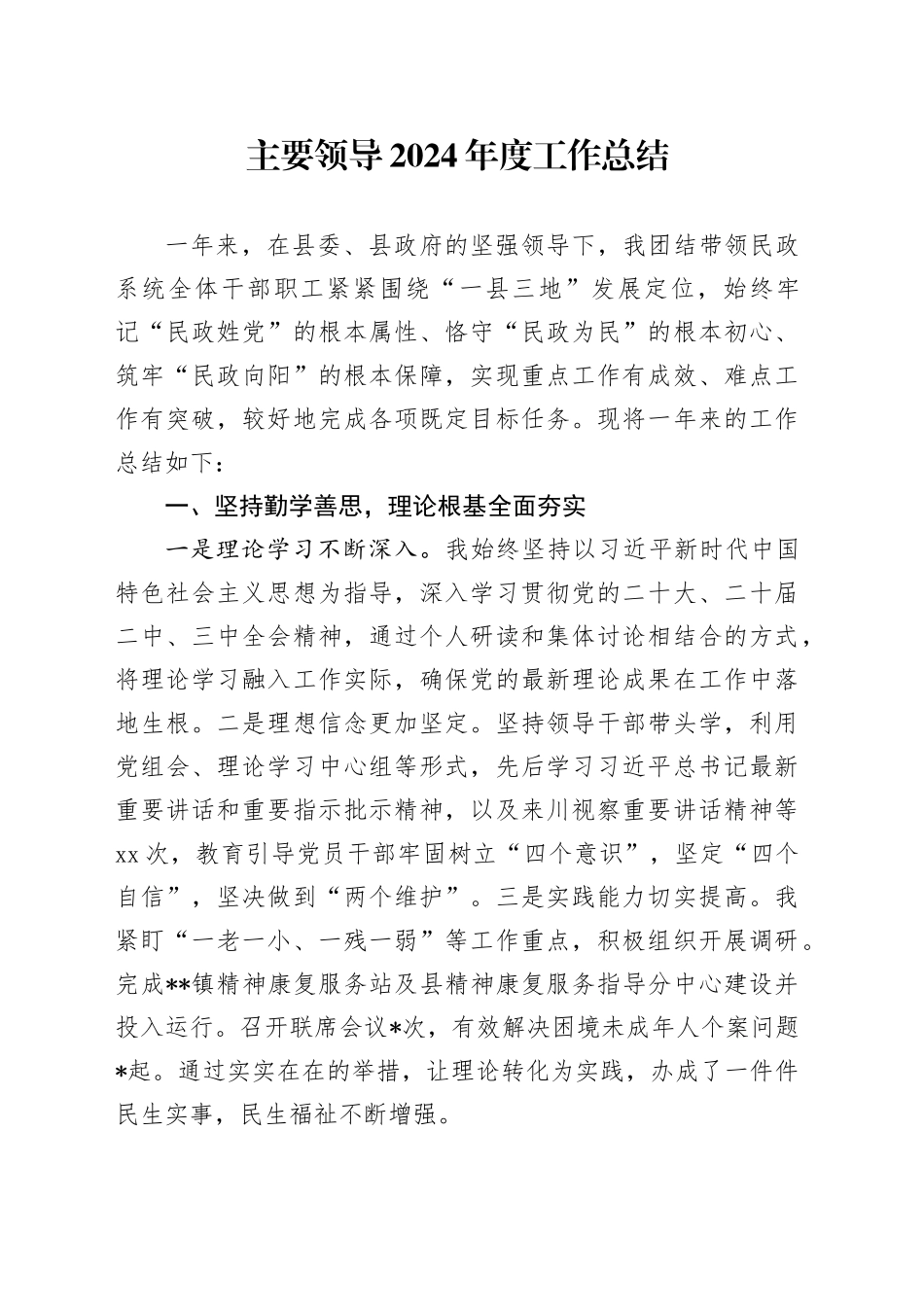 主要领导2024年度工作总结_第1页