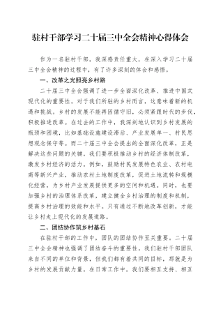 驻村干部学习二十届三中全会精神心得体会